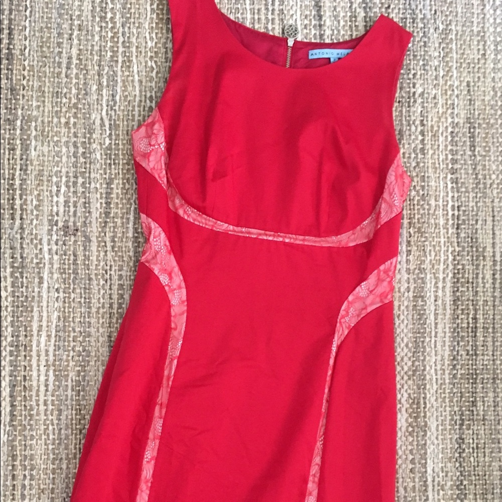 Antonio Melani dress